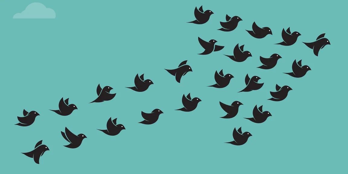 How to build your Twitter following
