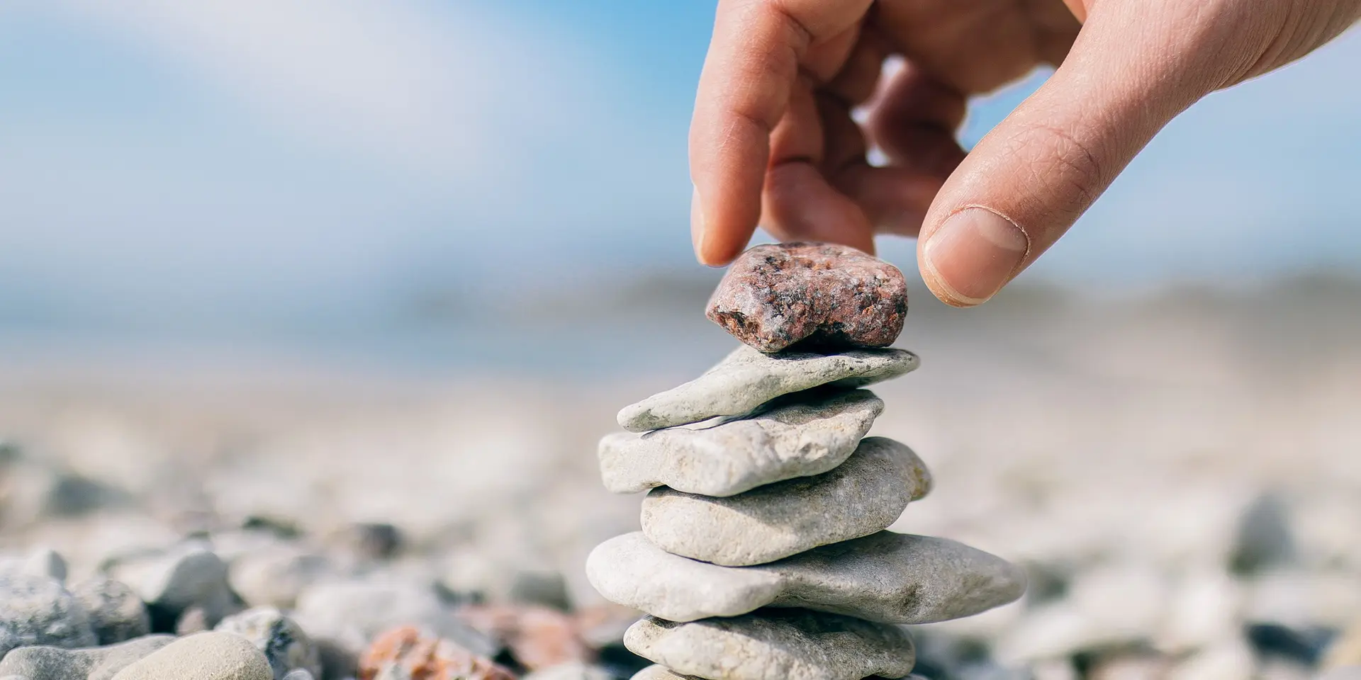 Pioneer vs. Challenger Brand : Impact on Customer Acquisition Strategy