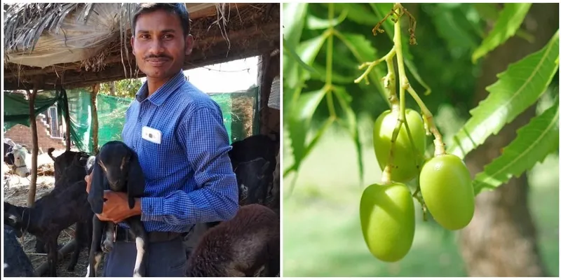रेमश खलदकर