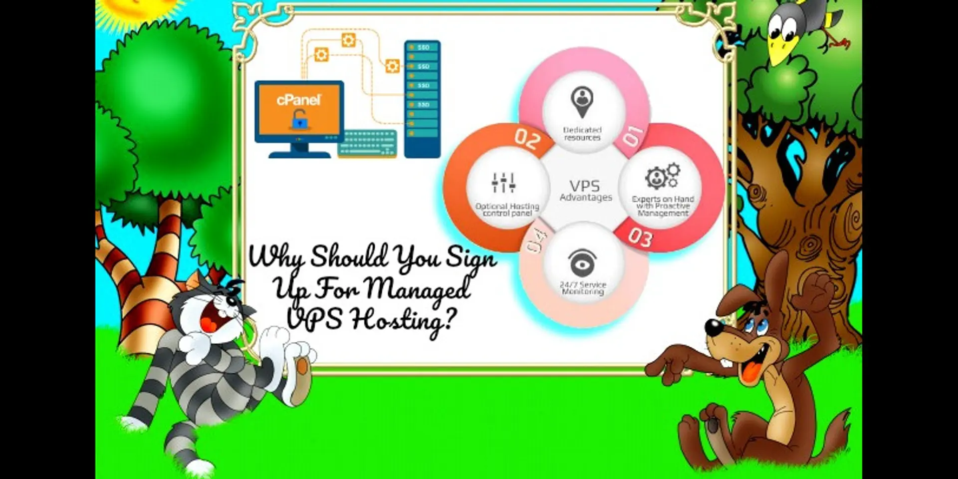 Why you should sign up for managed VPS hosting?