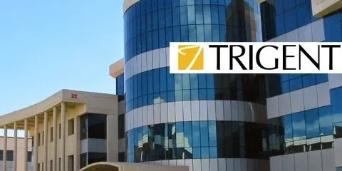 <h2>Fig:&nbsp;Trigent</h2>