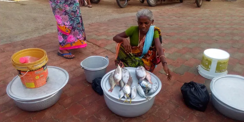 Figure 4 Fish market at Kanyakumari beach
