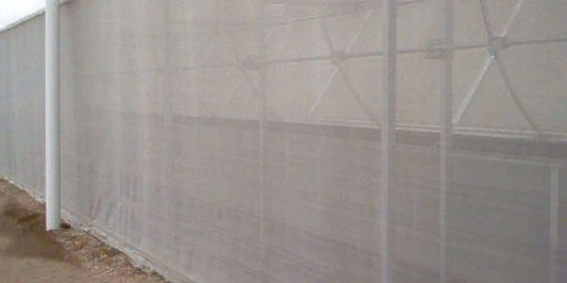 How window insect screens can be helpful in increasing greenhouse yield