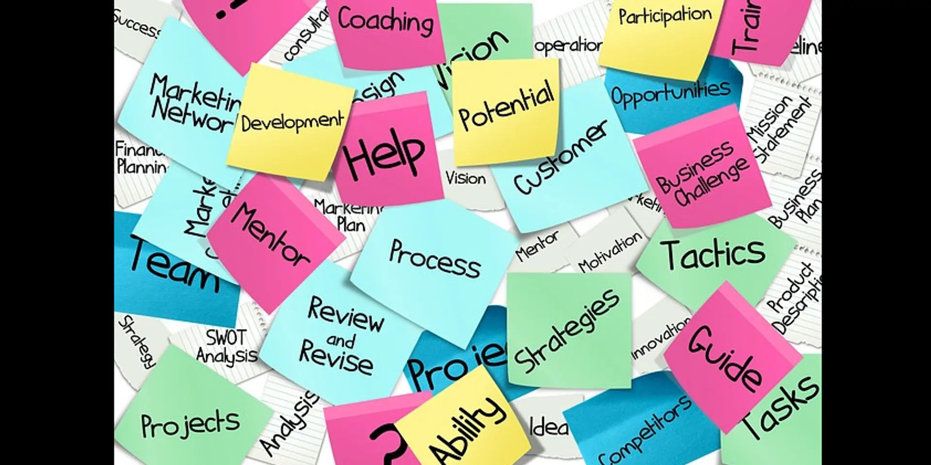 What is a professional employer organization?