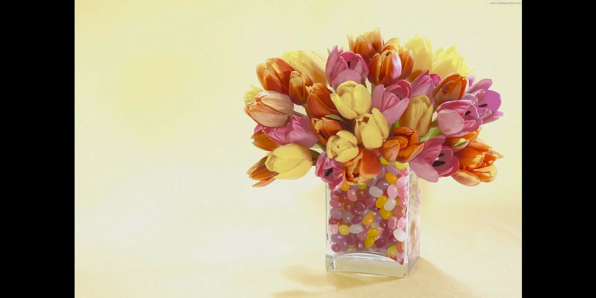 Bequeath Tranquility with Refreshing Exotic Winter Flower Gifts