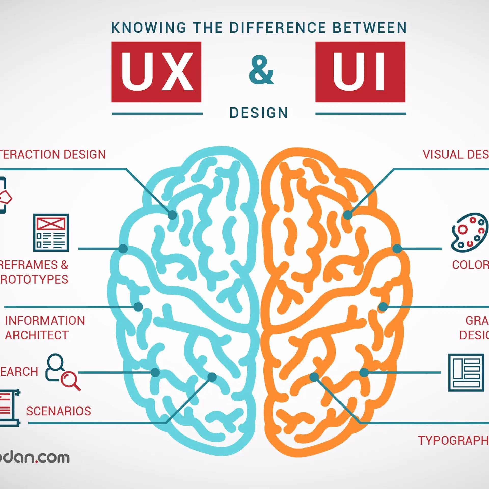 Basic differences between web designer and web developer
