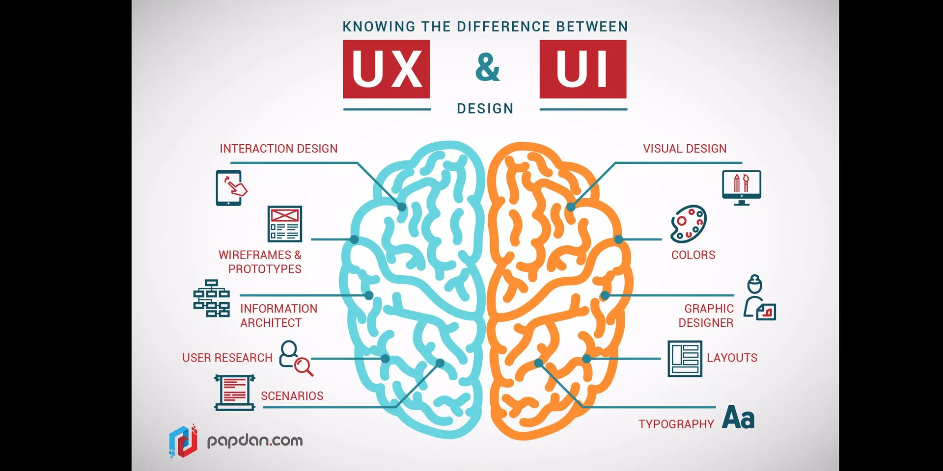 Basic differences between web designer and web developer
