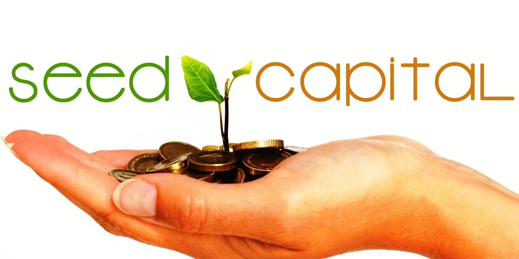 what-is-seed-capital-benefits-for-business-how-to-raise-it