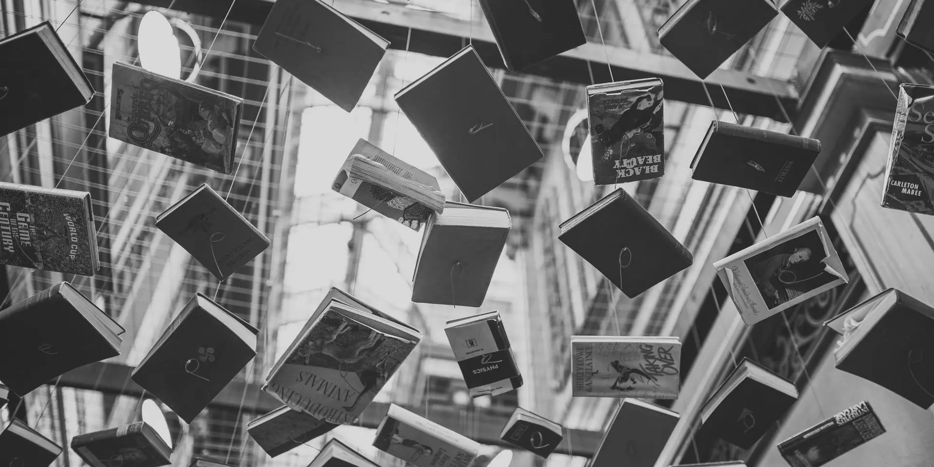 The best books about compliance management you need to read