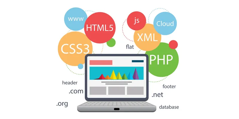 Custom Web Application Development for Your Business