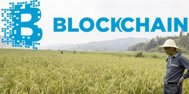 Application of blockchain technology in agriculture