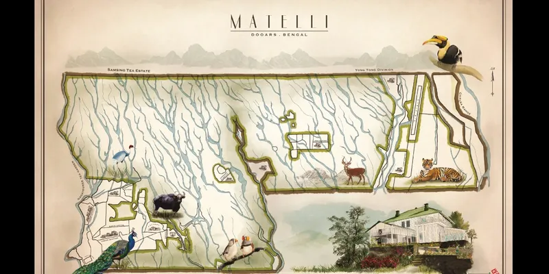 painted map for Luxmi Tea Co.