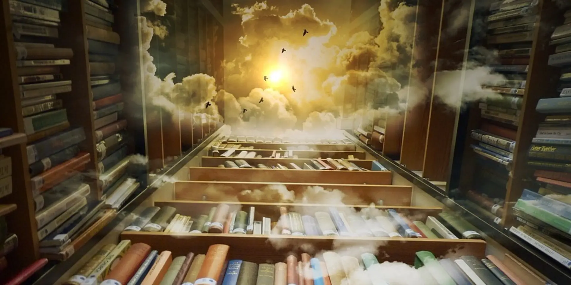 The Future of e-Learning