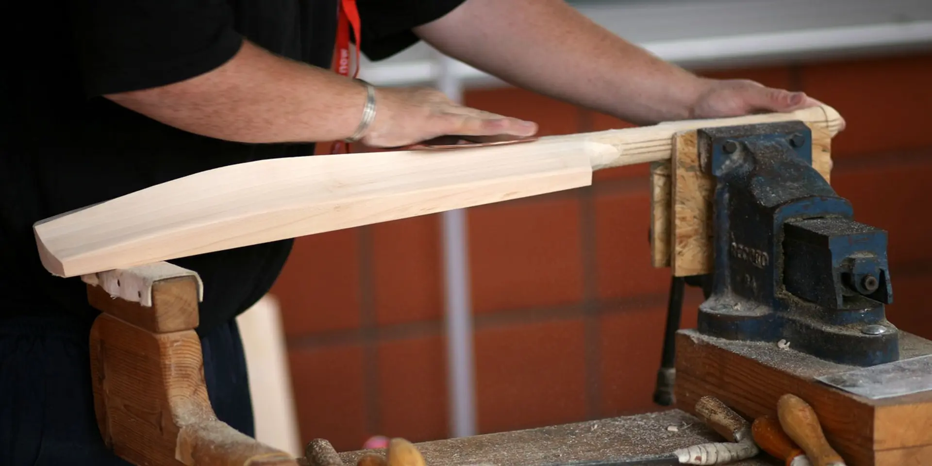 Introduction of English Willow cricket bat