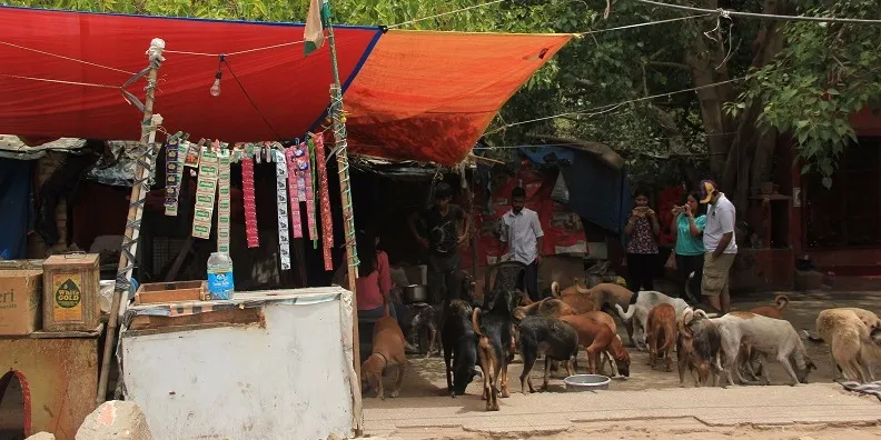 प्रतिमा और जानवरों का आशियाना जो अब उजड़ चुका है