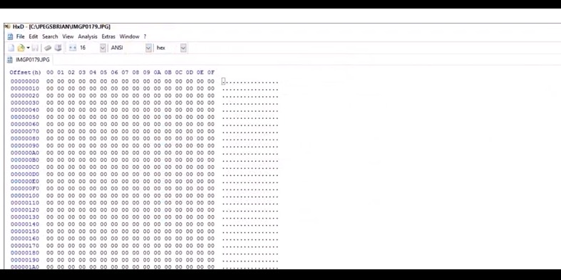 Un file JPG che mostra zero byte in Hex Editor non può essere riparato