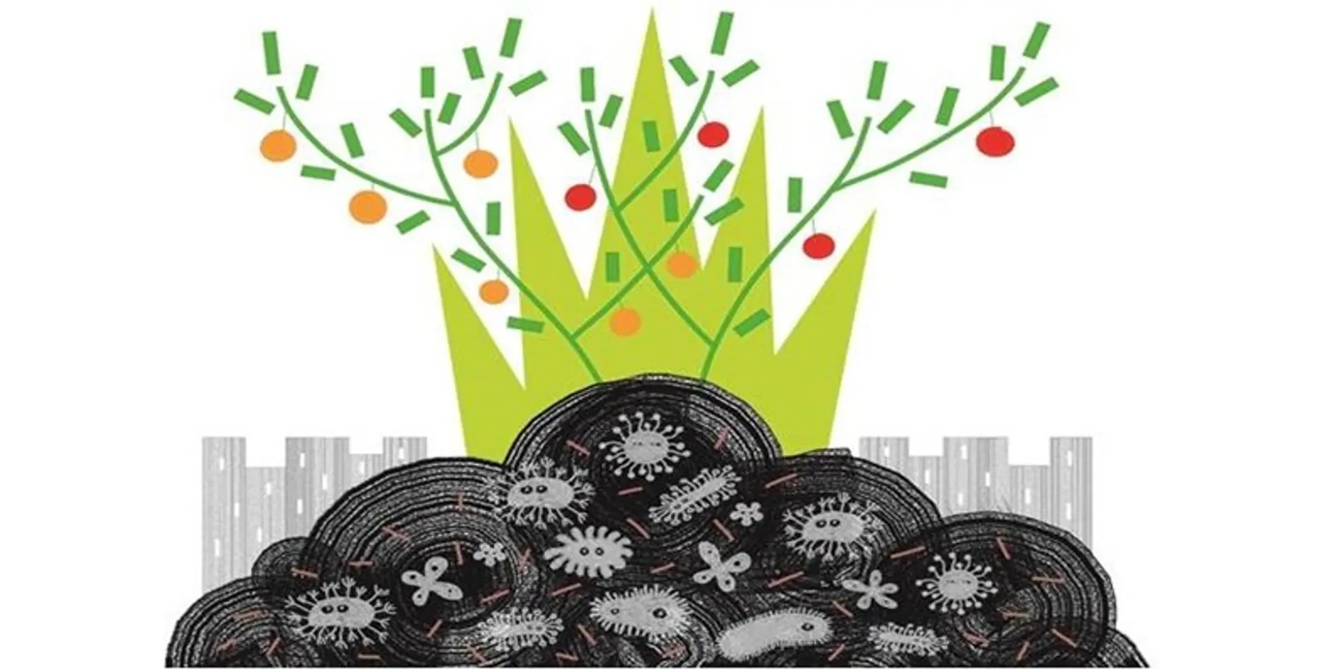 Lessons on capacity building for waste management from Germany