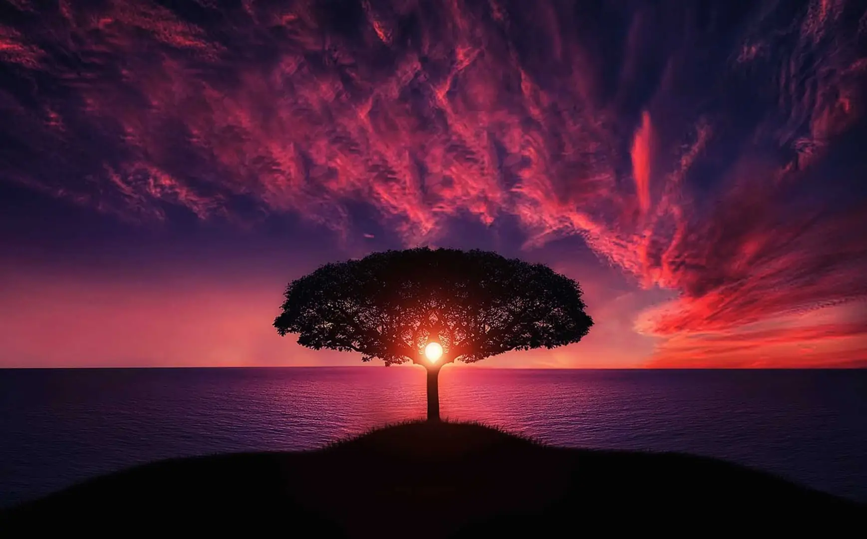 Leadership lessons From mother nature (Hint: It's not survival of the fittest)