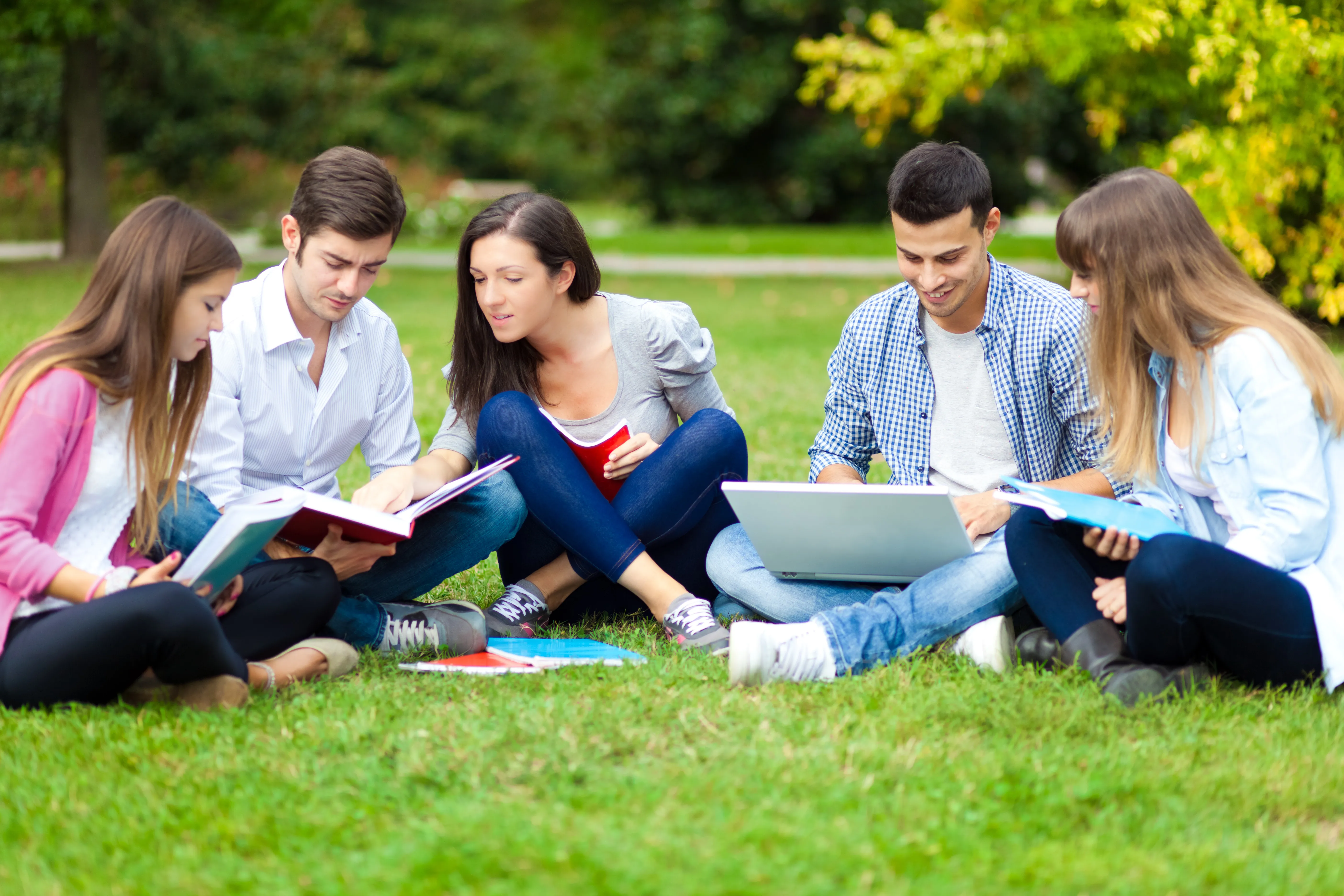 Getting study. Группа людей в парке. Студенты в парке. Студенты на лужайке. Группа студентов в парке.