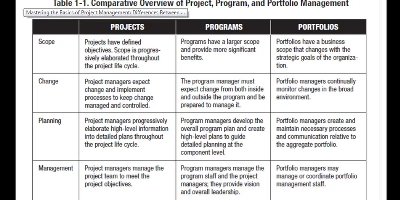 Differences between a project, a program, and a portfolio
