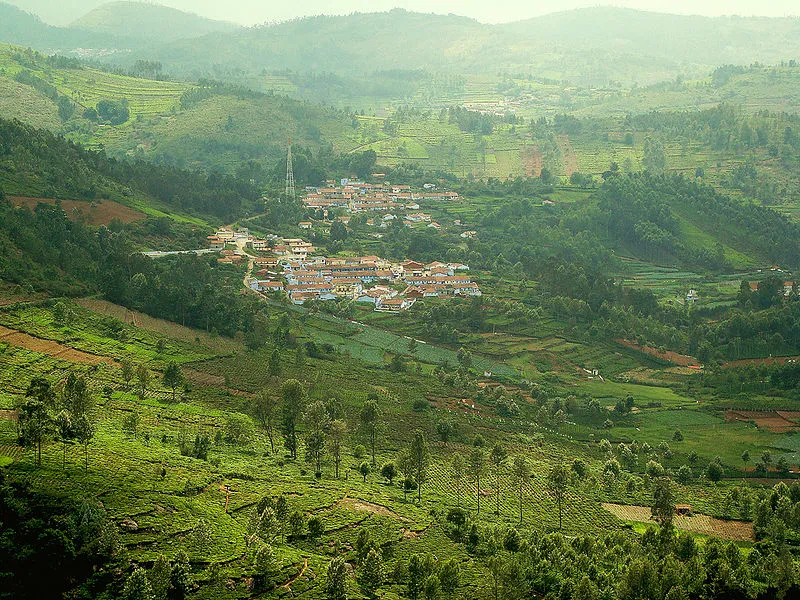 கோத்தகிரி
