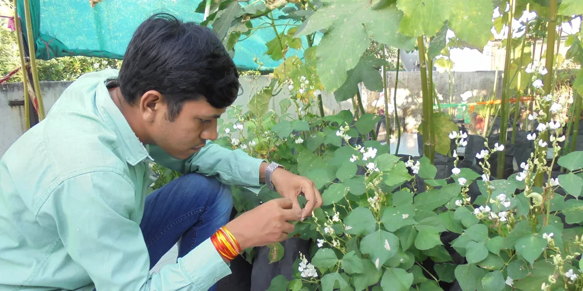 How a pharma-based professional turned a rooftop organic gardener and entrepreneur in organic farming